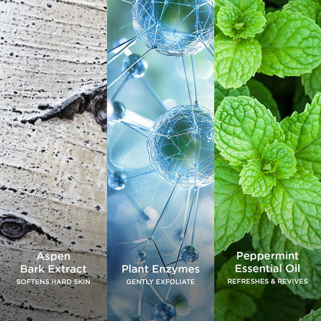 Close-up visuals of Aspen Bark Extract for softening skin, Plant Enzymes for gentle exfoliation, and Peppermint Essential Oil for refreshing and reviving benefits.